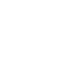 Rochester Medical